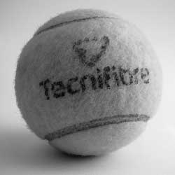 短信轰在线轰炸免费网站